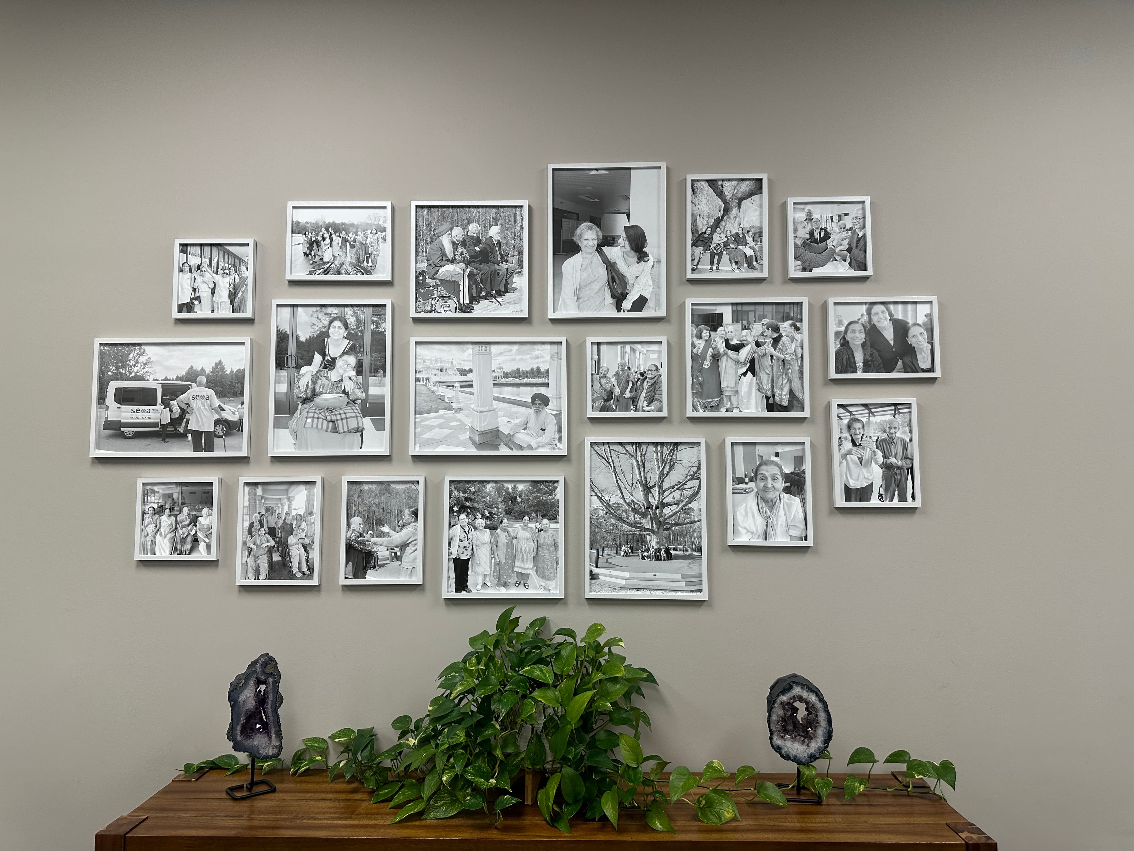 A wall of framed black and white family photographs above a plant table